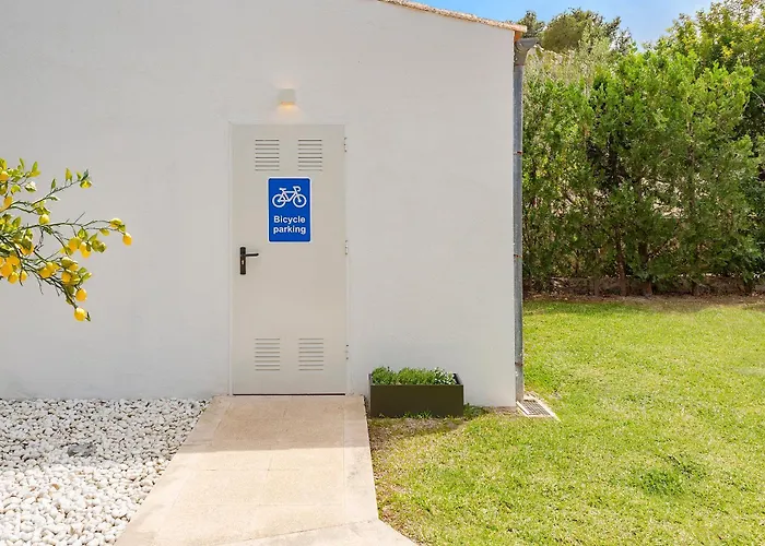 Falco Villa Pollença