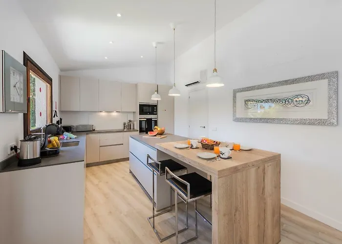 Falco Villa Pollença