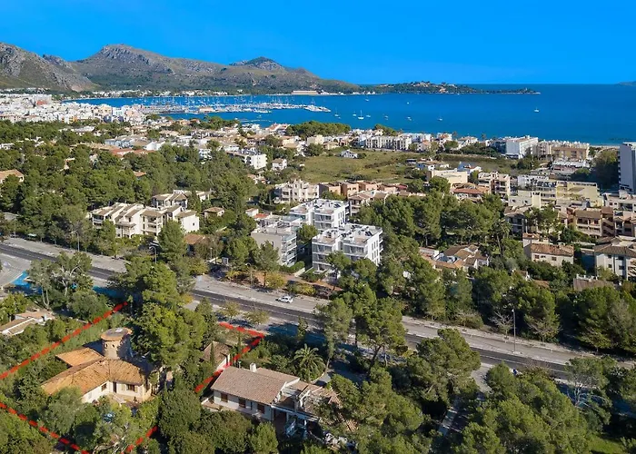 Falco Villa Pollença