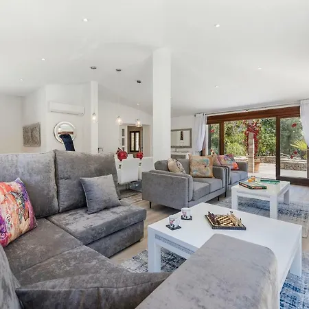 Falco Villa Pollença