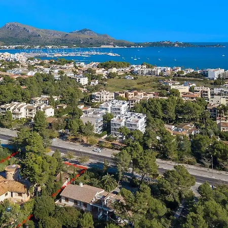 Falco Villa Pollença